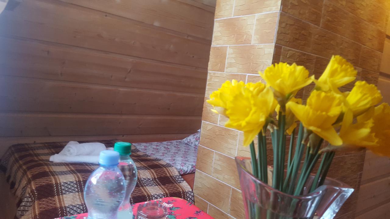 Lesne Zacisze Bed & Breakfast Murzasichle Dış mekan fotoğraf