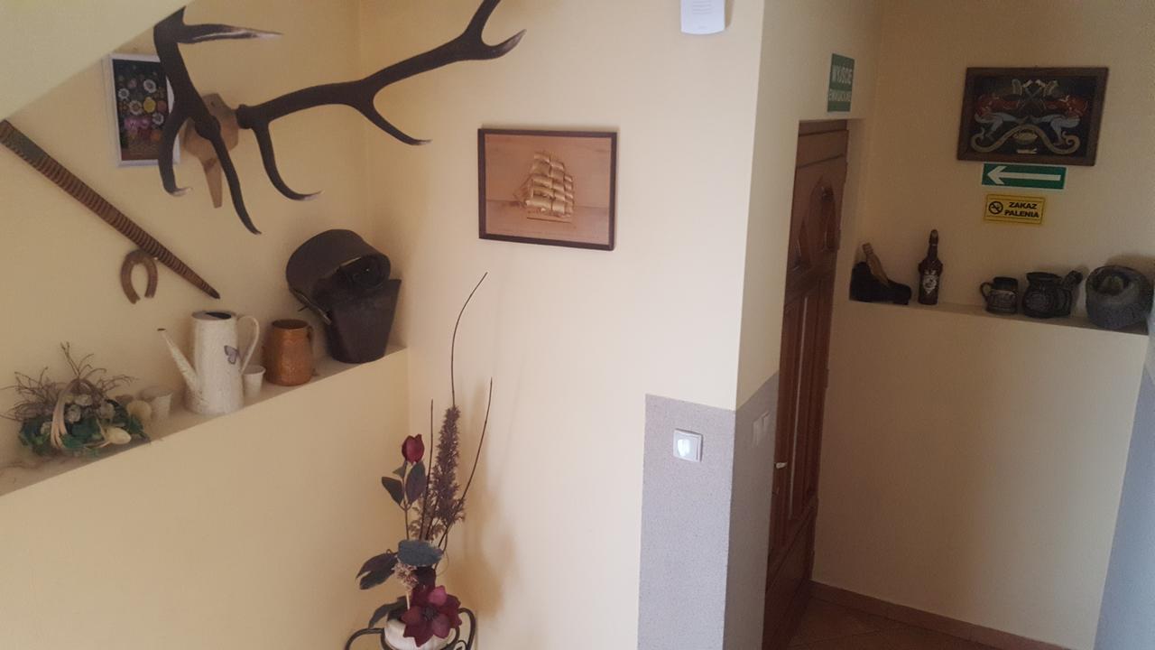Lesne Zacisze Bed & Breakfast Murzasichle Dış mekan fotoğraf